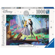Een Onvergetelijk Disney Moment: Doornroosje (1000 stukje